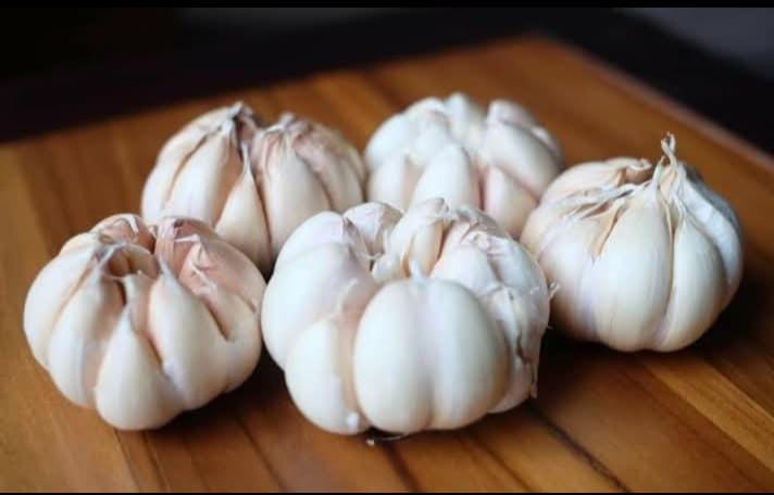 Gambar Bawang Puti potret (fb)