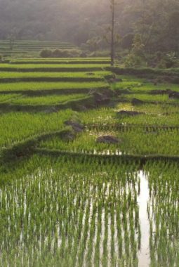 berita-rekomendasi-foto